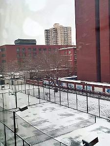 2023 12 PEKIN- UNIVERSITE LANGUES ETRANGERES SOUS LA NEIGE (10)